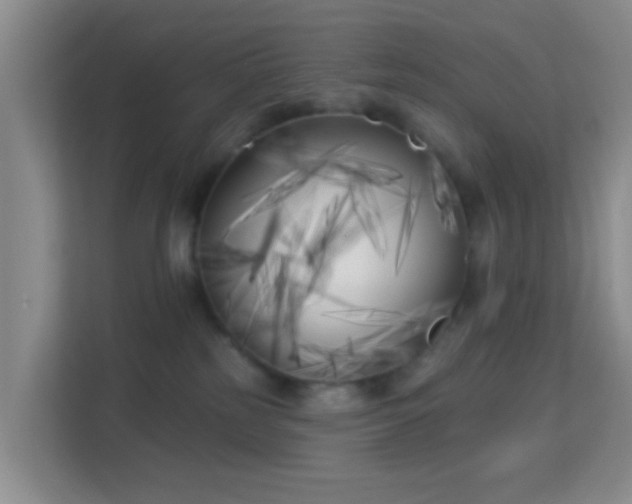 X0000113160185200909111022
