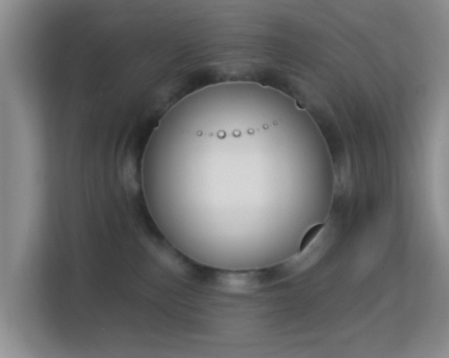 X0000113160187200909111022