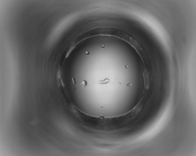 X0000113160190200909111022