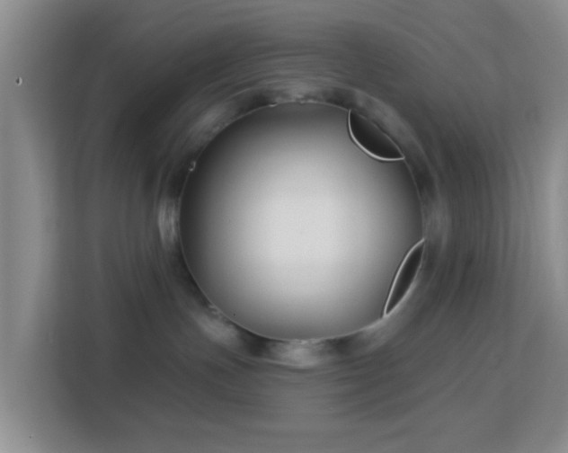 X0000113160191200909111022