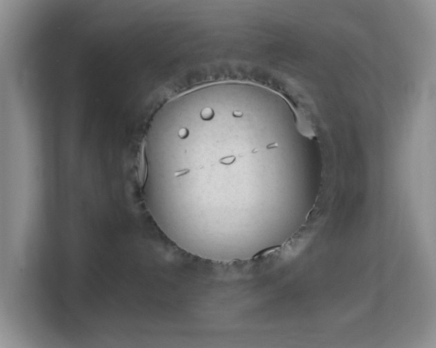 X0000113160192200909111022