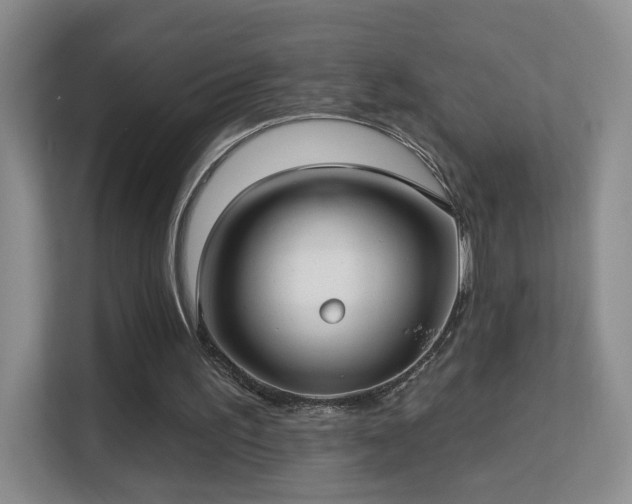 X0000113160195200909111021