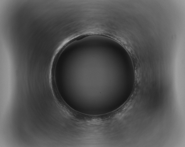 X0000113160196200909111021