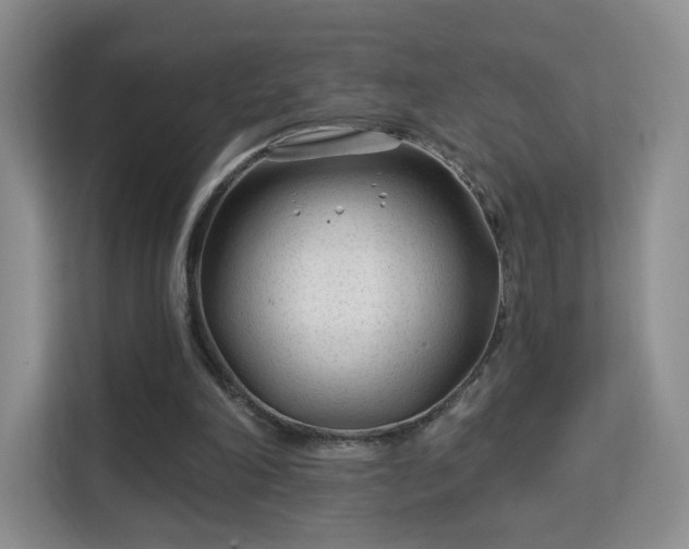 X0000113160198200909111021