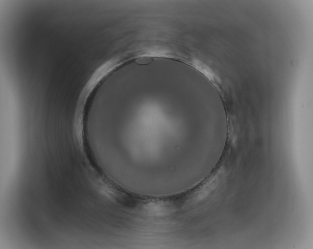 X0000113160199200909111021