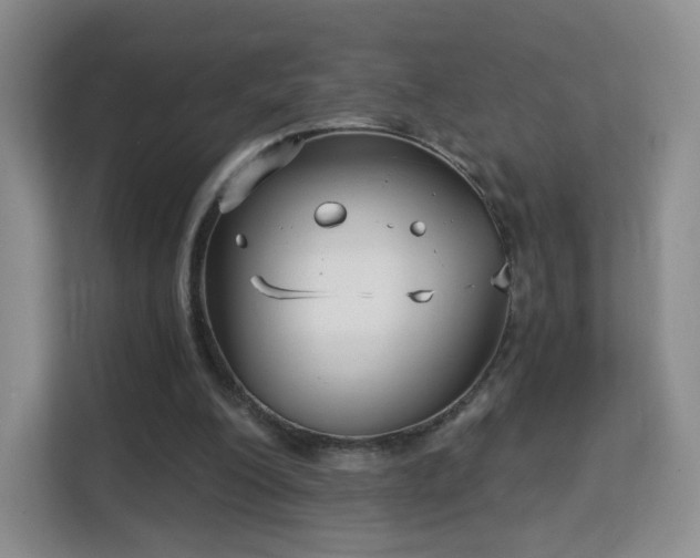 X0000113160200200909111021