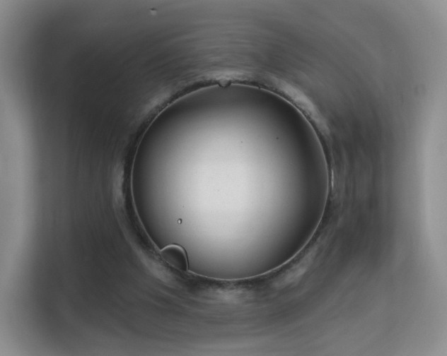 X0000113160201200909111021