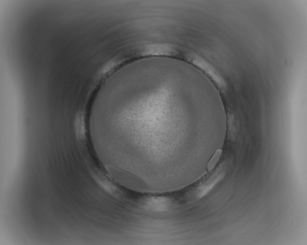 X0000113160203200909111021