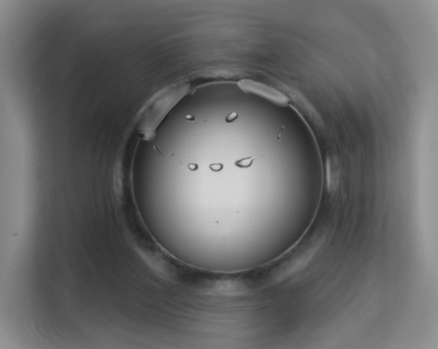 X0000113160204200909111021