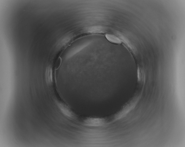 X0000113160205200909111021