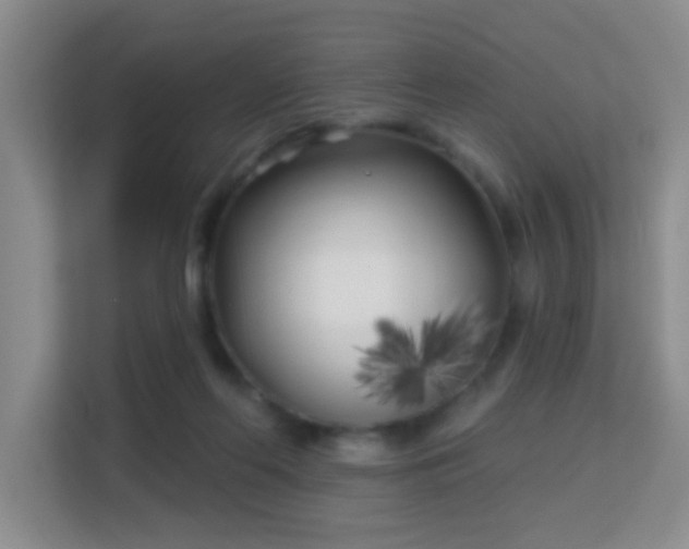 X0000113160214200909111021
