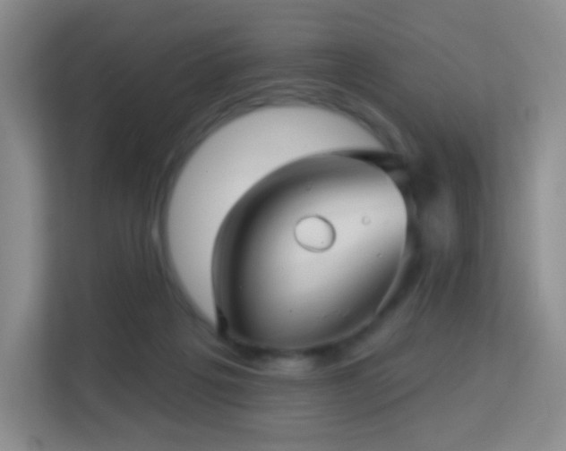 X0000113160217200909111021