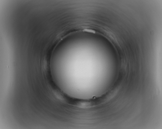 X0000113160220200909111021