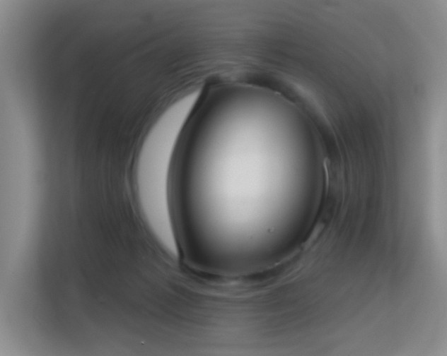 X0000113160221200909111021