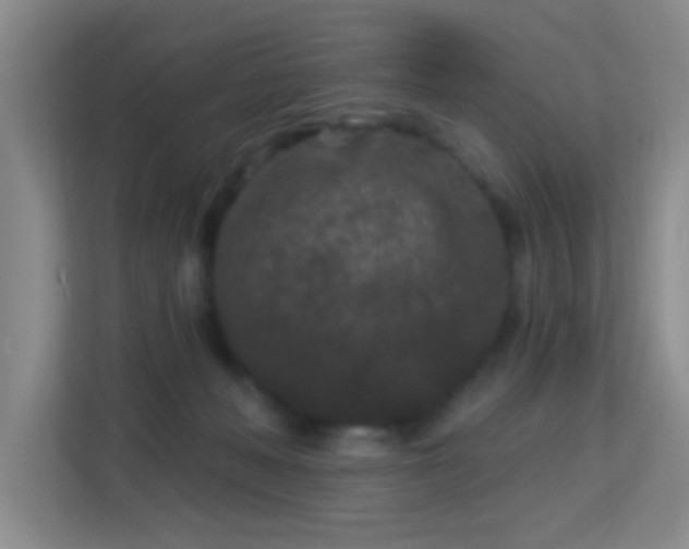 X0000113160222200909111021