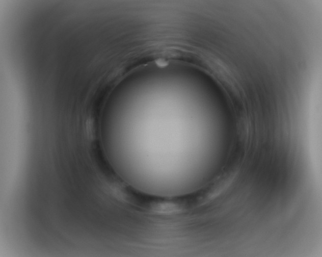 X0000113160224200909111021