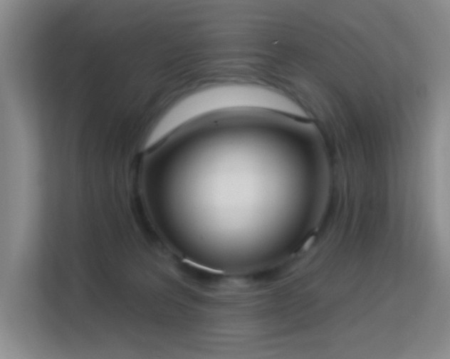 X0000113160227200909111021