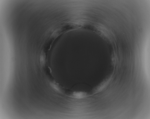 X0000113160231200909111021