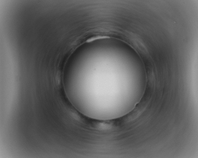 X0000113160232200909111021