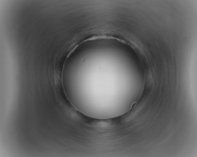 X0000113160236200909111021