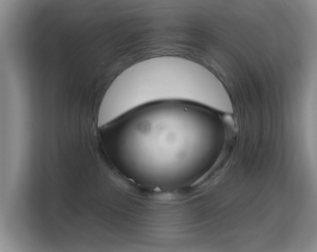 X0000113160237200909111021