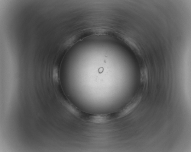 X0000113160238200909111021