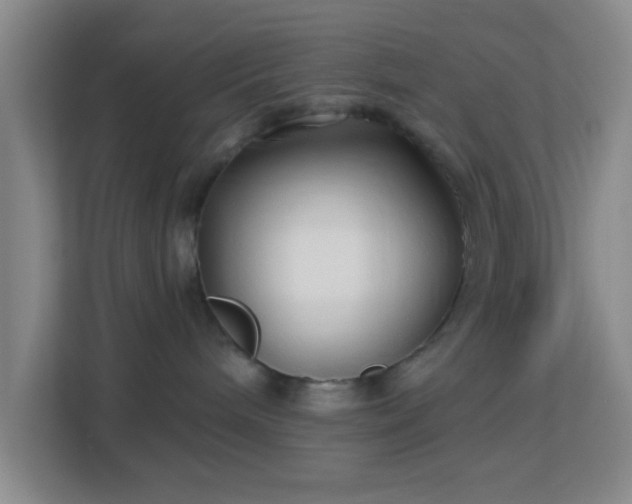 X0000113160240200909111021