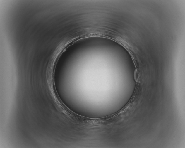 X0000113160241200909111020