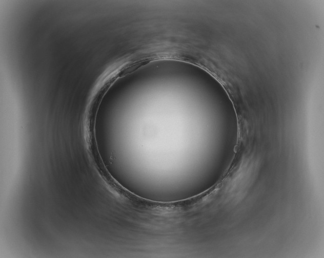 X0000113160245200909111020