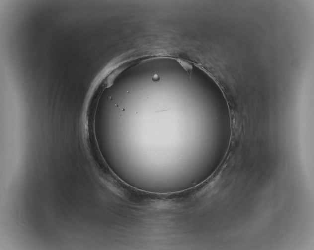 X0000113160246200909111020