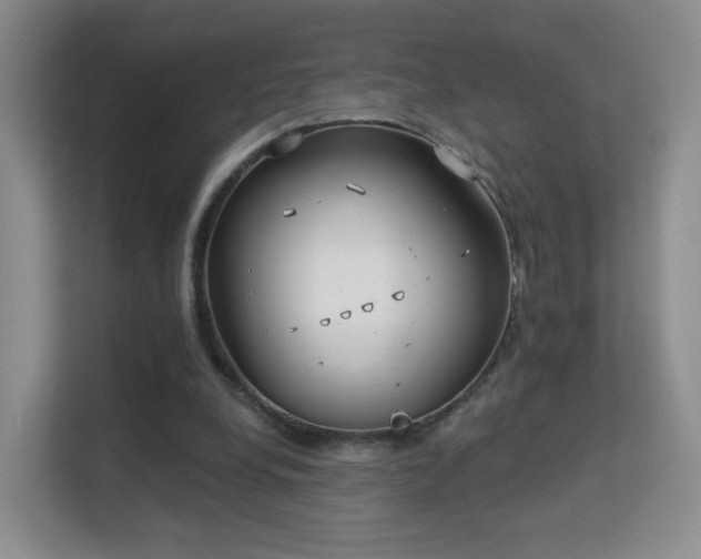 X0000113160248200909111020