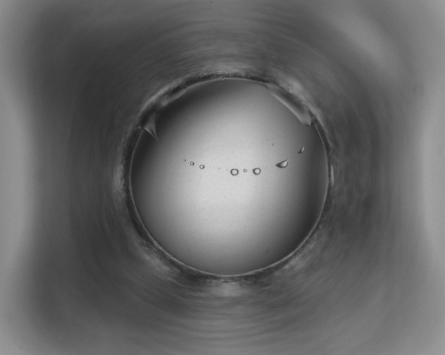 X0000113160249200909111020