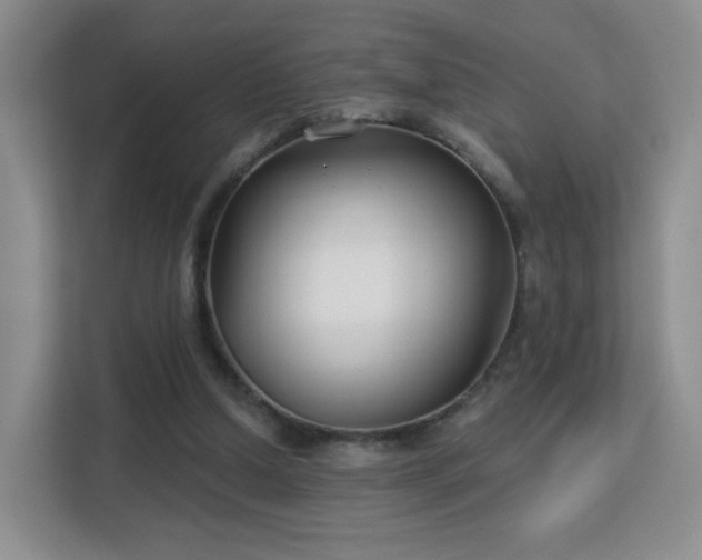 X0000113160250200909111020