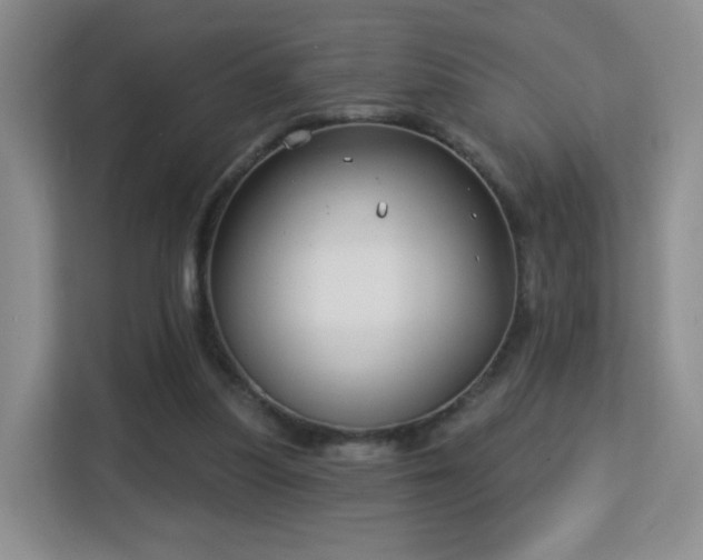 X0000113160251200909111020