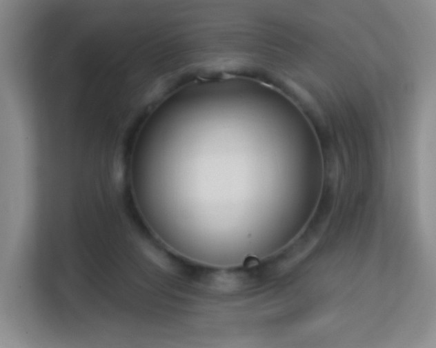 X0000113160261200909111020