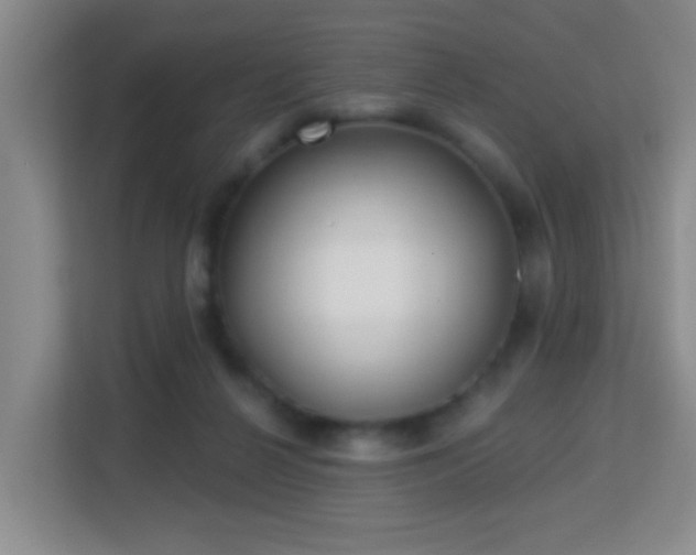 X0000113160264200909111020