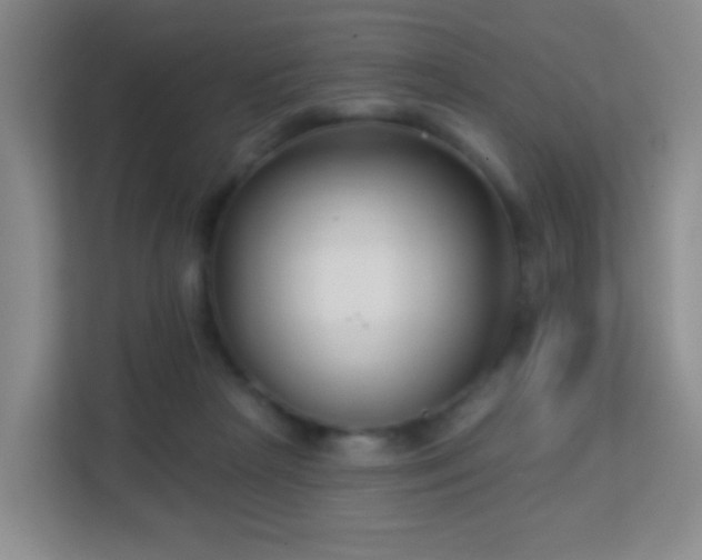 X0000113160265200909111020