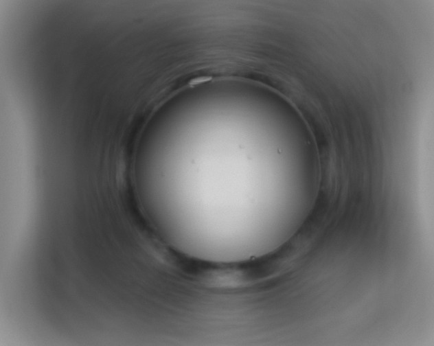 X0000113160266200909111020