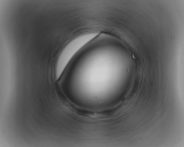 X0000113160268200909111020