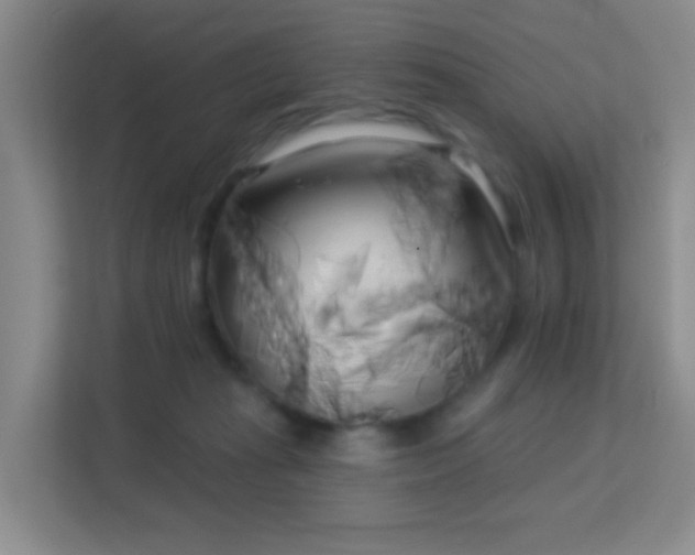 X0000113160269200909111020