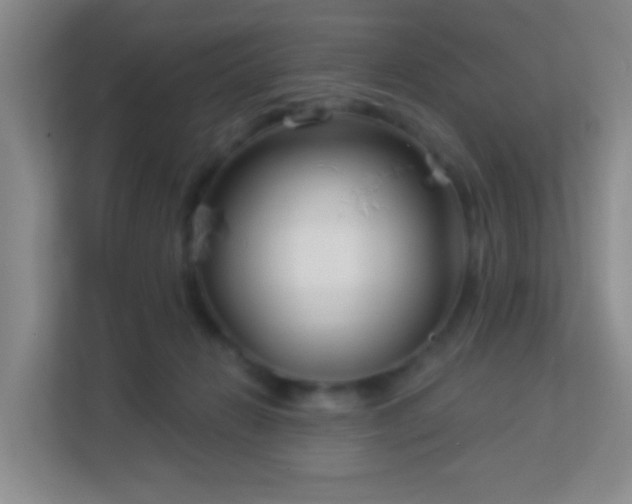 X0000113160270200909111020