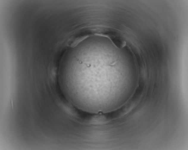 X0000113160271200909111020