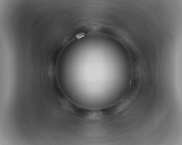 X0000113160274200909111020