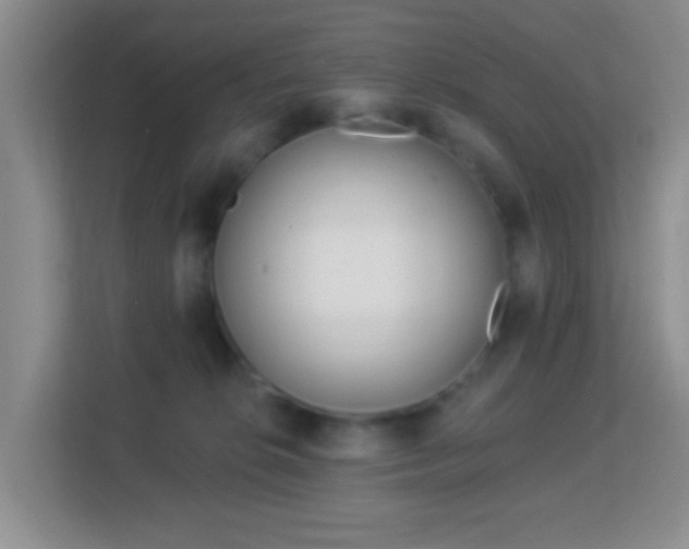 X0000113160276200909111020