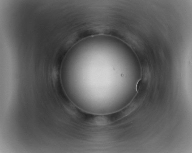 X0000113160279200909111020