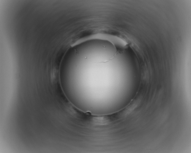 X0000113160281200909111020