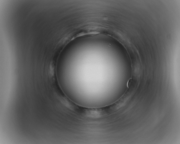 X0000113160282200909111020