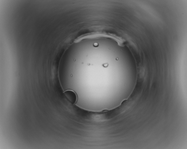 X0000113160283200909111020