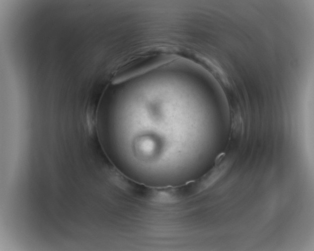 X0000113160285200909111020