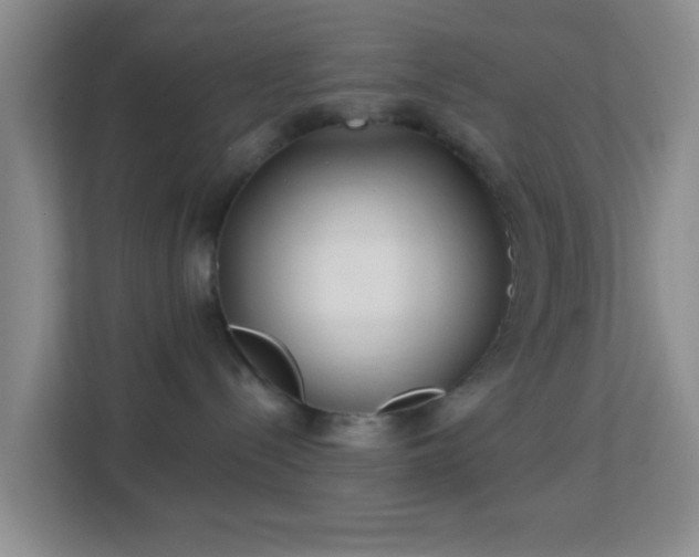 X0000113160288200909111021